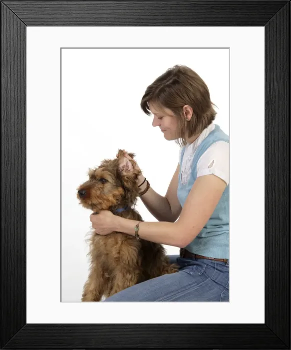 Framed Print : Picture No. 10746637 Framed Print : Picture No. 10746637