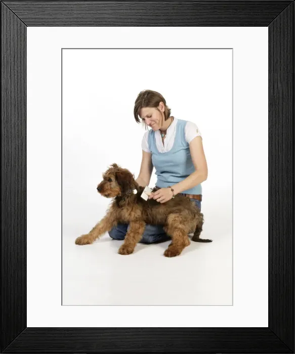Framed Print : Picture No. 10746640 Framed Print : Picture No. 10746640