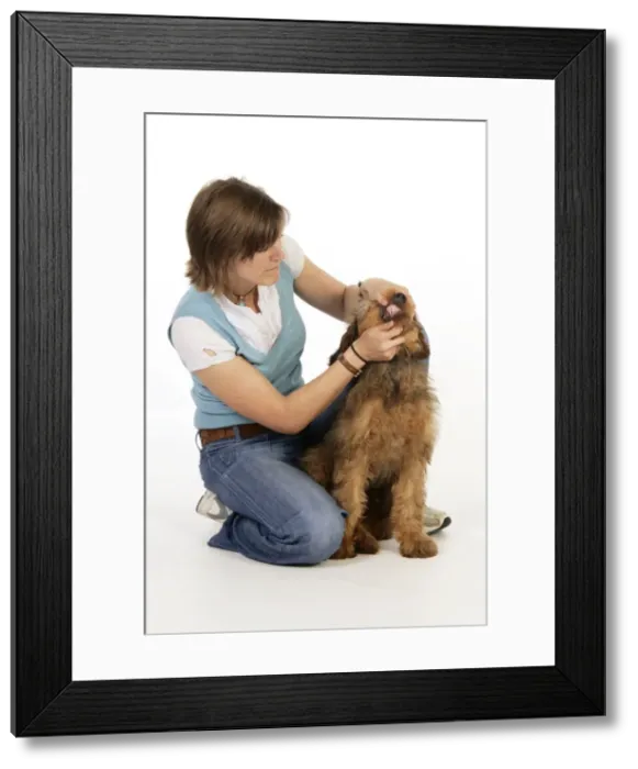Framed Print : Picture No. 10746638 Framed Print : Picture No. 10746638