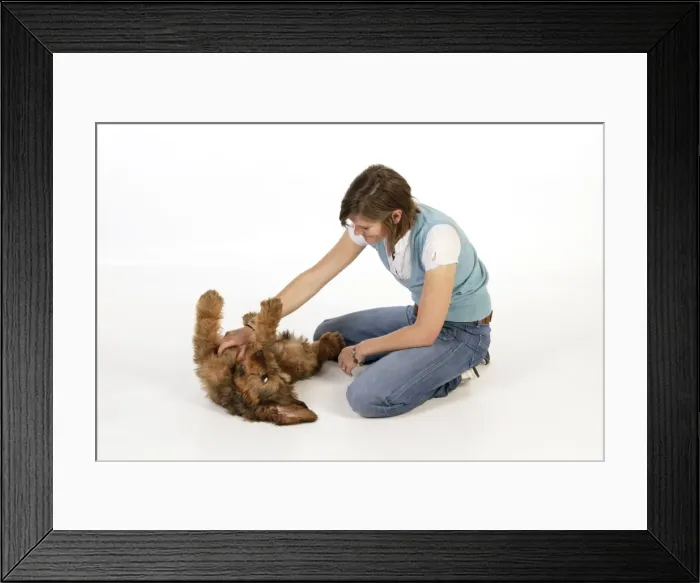Framed Print : Picture No. 10746635 Framed Print : Picture No. 10746635