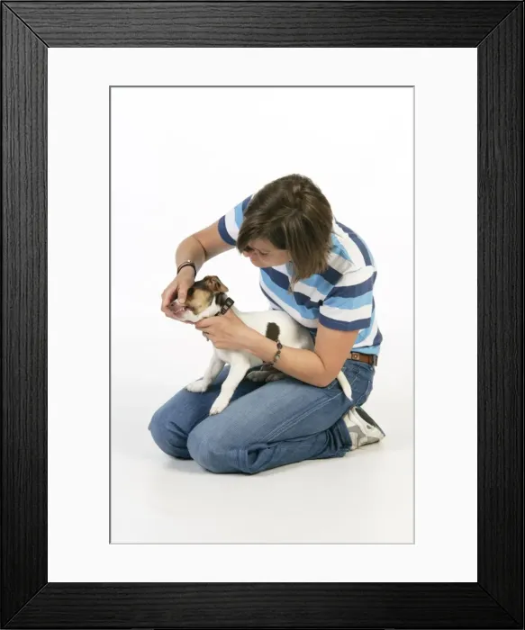 Framed Print : Picture No. 10746646 Framed Print : Picture No. 10746646