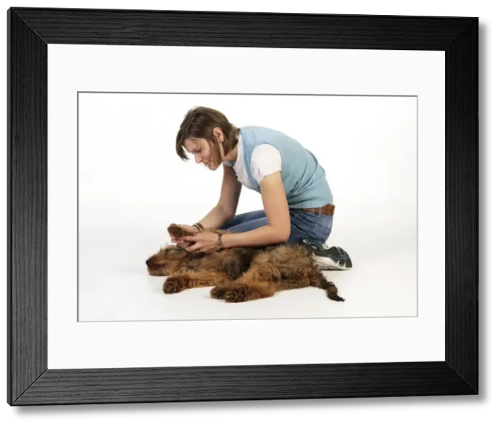Framed Print : Picture No. 10746639 Framed Print : Picture No. 10746639