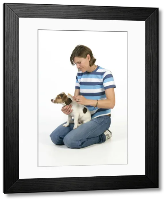 Framed Print : Picture No. 10746648 Framed Print : Picture No. 10746648