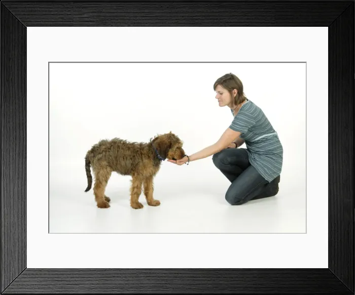 Framed Print : Picture No. 10746659 Framed Print : Picture No. 10746659