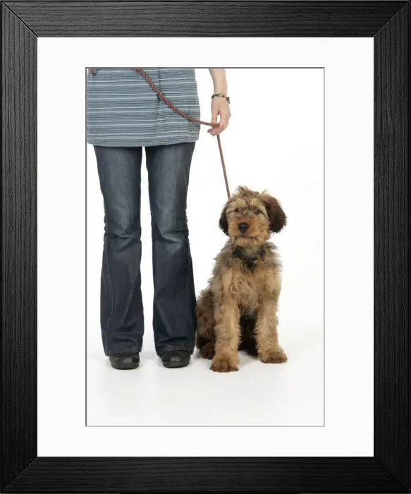 Framed Print : Picture No. 10746660 Framed Print : Picture No. 10746660