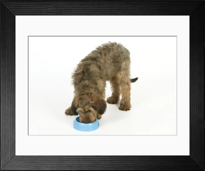 Framed Print : Picture No. 10746662 Framed Print : Picture No. 10746662