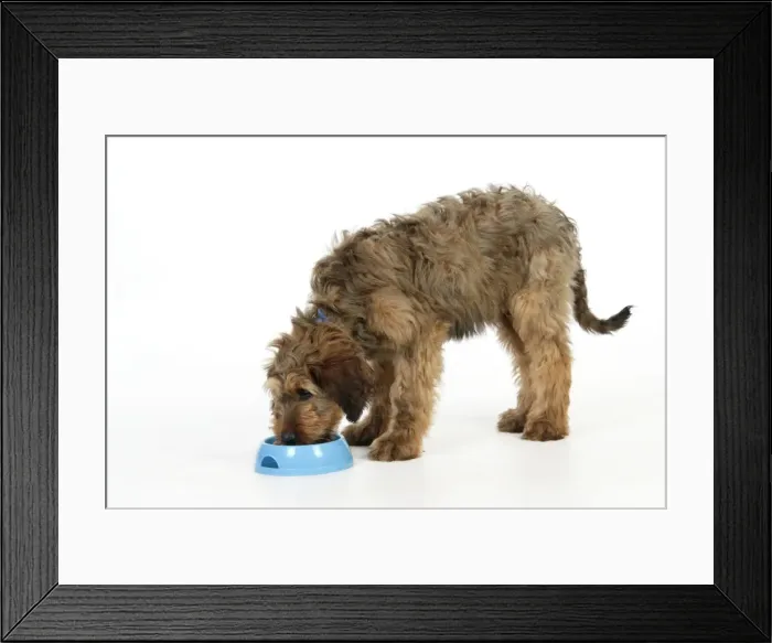 Framed Print : Picture No. 10746661 Framed Print : Picture No. 10746661