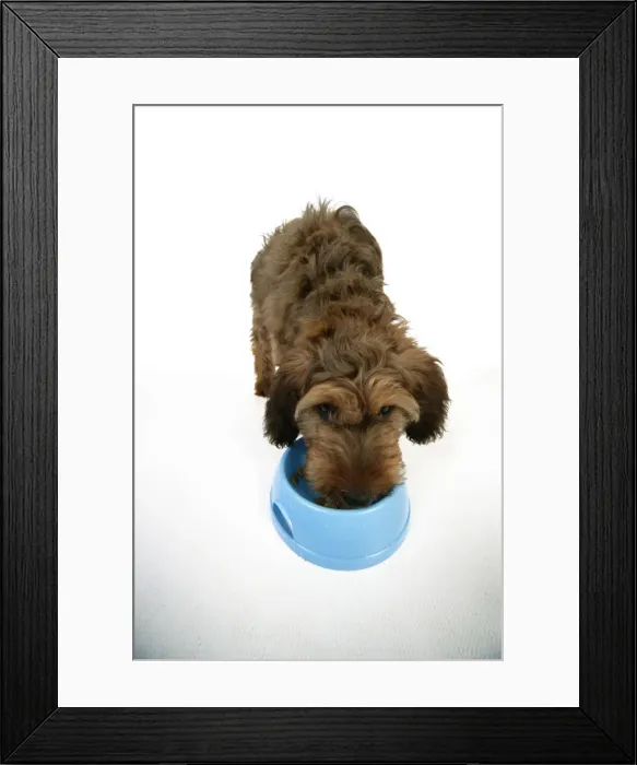 Framed Print : Picture No. 10746663 Framed Print : Picture No. 10746663