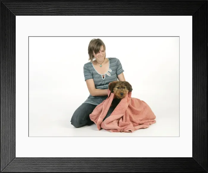 Framed Print : Picture No. 10746664 Framed Print : Picture No. 10746664