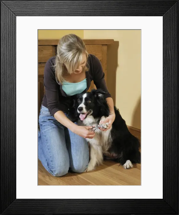 Framed Print : Picture No. 10746720 Framed Print : Picture No. 10746720