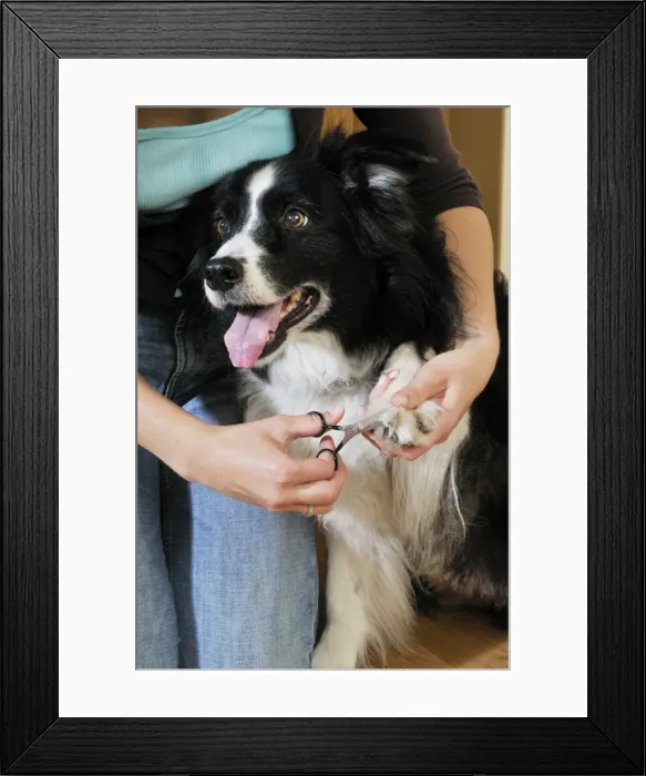 Framed Print : Picture No. 10746721 Framed Print : Picture No. 10746721