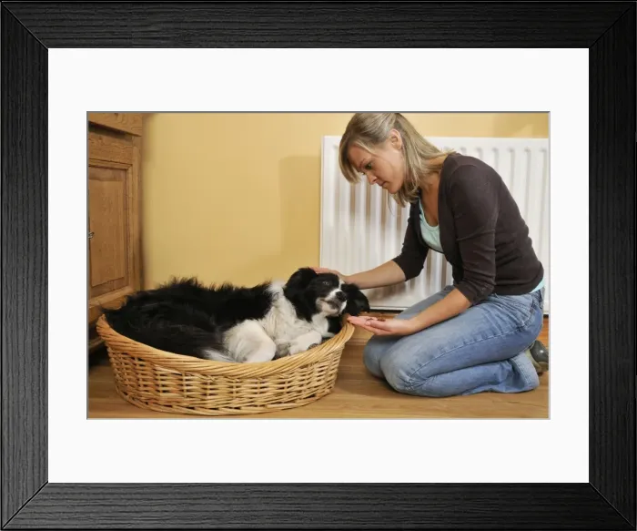 Framed Print : Picture No. 10746722