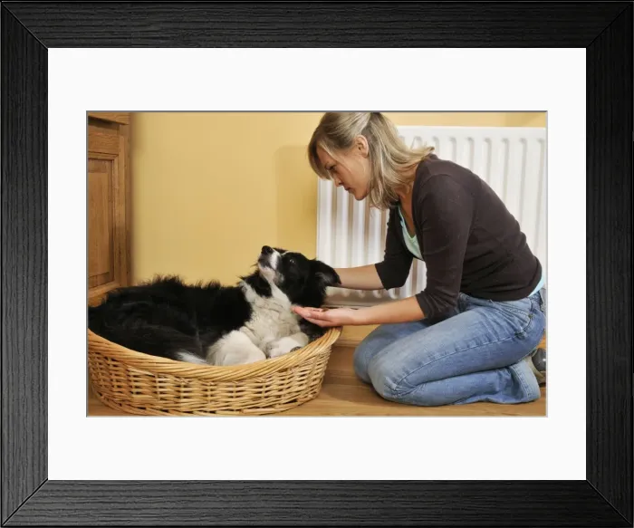 Framed Print : Picture No. 10746723 Framed Print : Picture No. 10746723