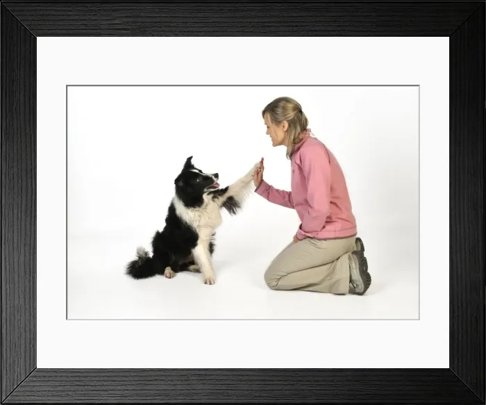 Framed Print : Picture No. 10746726 Framed Print : Picture No. 10746726