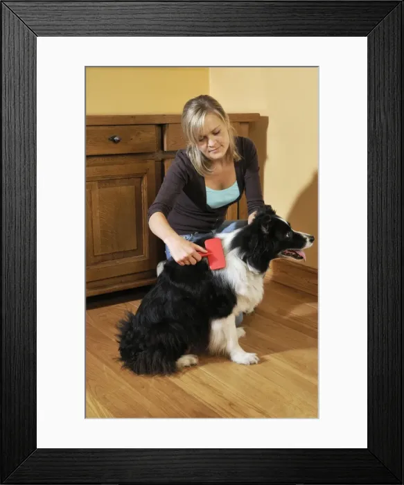 Framed Print : Picture No. 10746719 Framed Print : Picture No. 10746719