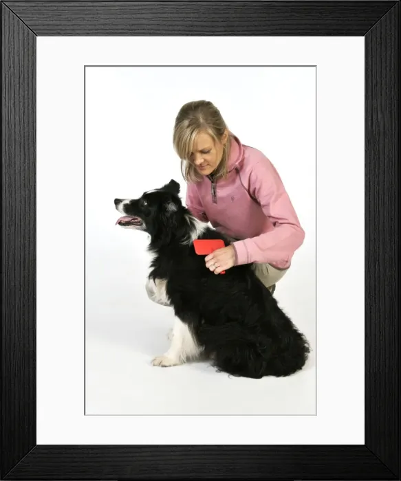 Framed Print : Picture No. 10746727 Framed Print : Picture No. 10746727
