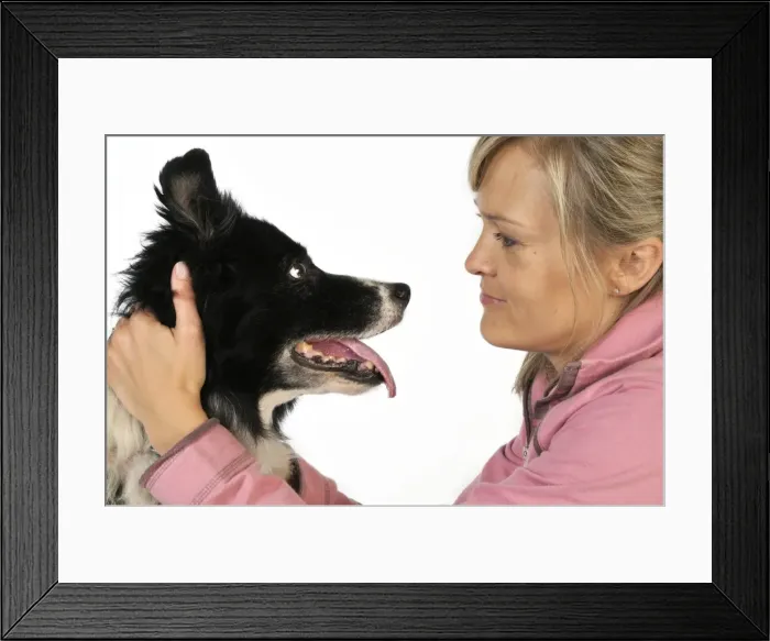 Framed Print : Picture No. 10746731 Framed Print : Picture No. 10746731