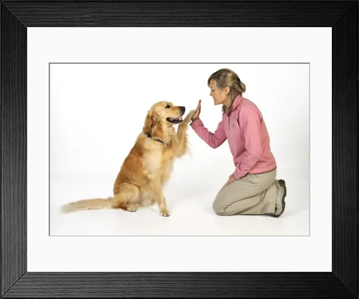 Framed Print : Picture No. 10746725 Framed Print : Picture No. 10746725