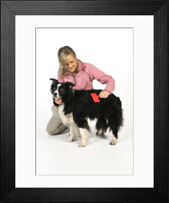 Framed Print : Picture No. 10746728 Framed Print : Picture No. 10746728