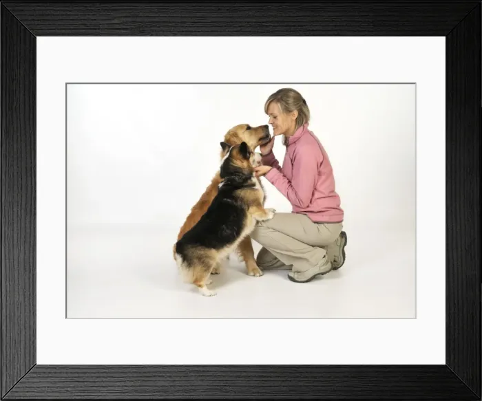 Framed Print : Picture No. 10746733 Framed Print : Picture No. 10746733