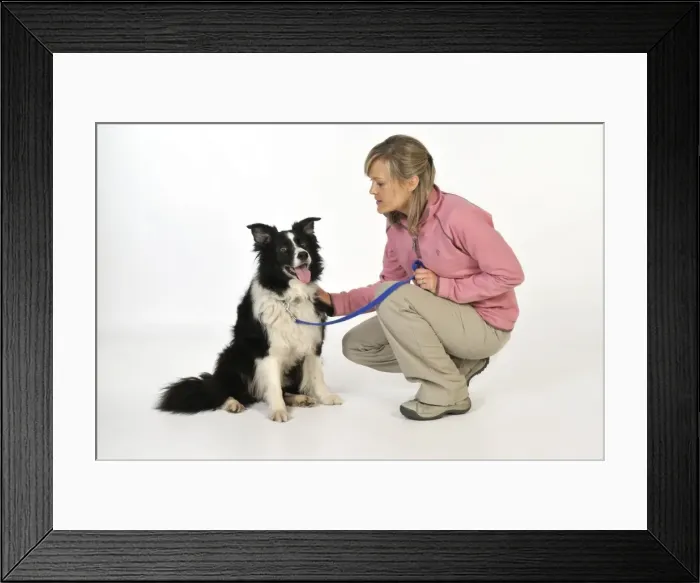Framed Print : Picture No. 10746735