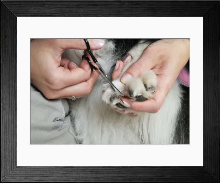 Framed Print : Picture No. 10746729 Framed Print : Picture No. 10746729