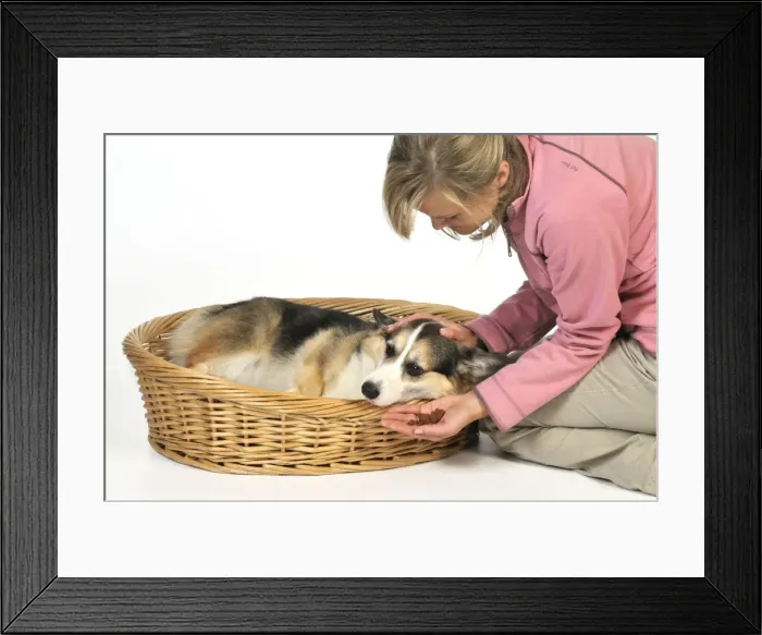 Framed Print : Picture No. 10746736 Framed Print : Picture No. 10746736