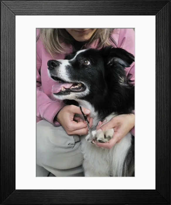 Framed Print : Picture No. 10746730 Framed Print : Picture No. 10746730