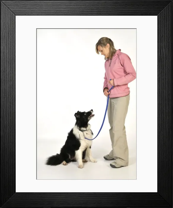 Framed Print : Picture No. 10746734 Framed Print : Picture No. 10746734