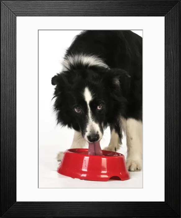 Framed Print : Picture No. 10746740 Framed Print : Picture No. 10746740