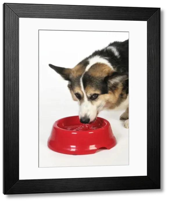 Framed Print : Picture No. 10746739 Framed Print : Picture No. 10746739