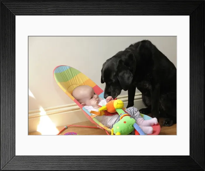 Framed Print : Picture No. 10746759