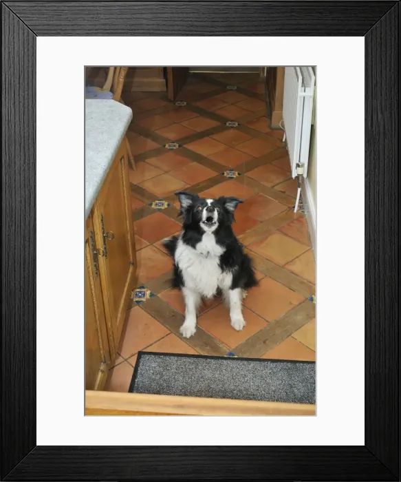 Framed Print : Picture No. 10746757