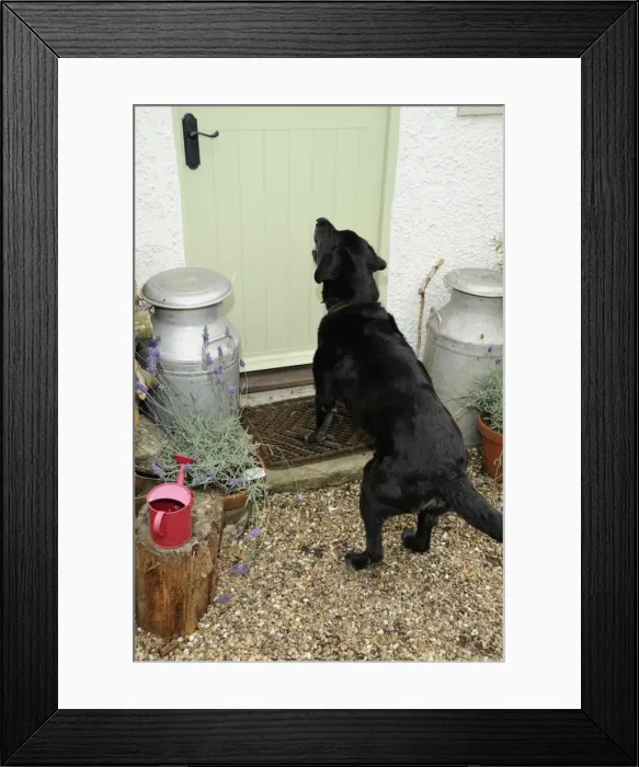 Framed Print : Picture No. 10746761 Framed Print : Picture No. 10746761