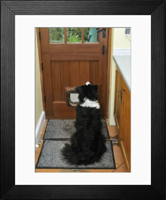 Framed Print : Picture No. 10746756