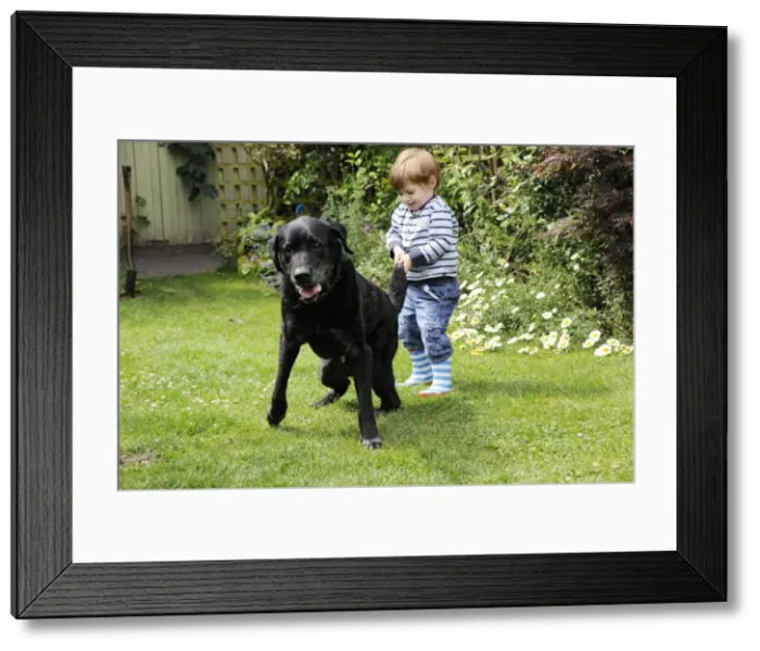 Framed Print : Picture No. 10746764 Framed Print : Picture No. 10746764