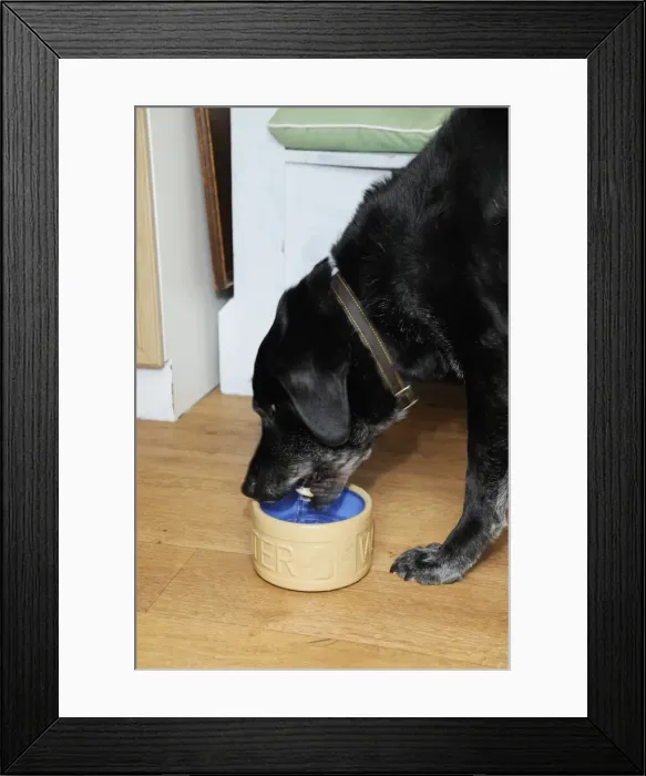 Framed Print : Picture No. 10746760 Framed Print : Picture No. 10746760