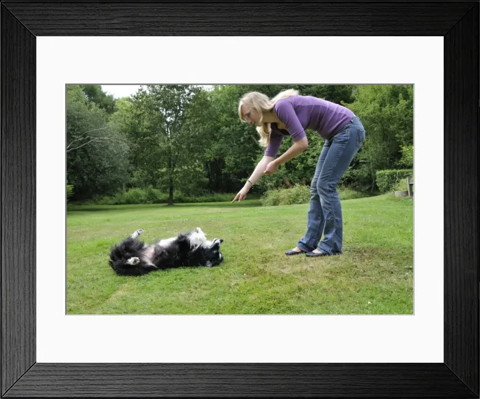 Framed Print : Picture No. 10746801 Framed Print : Picture No. 10746801