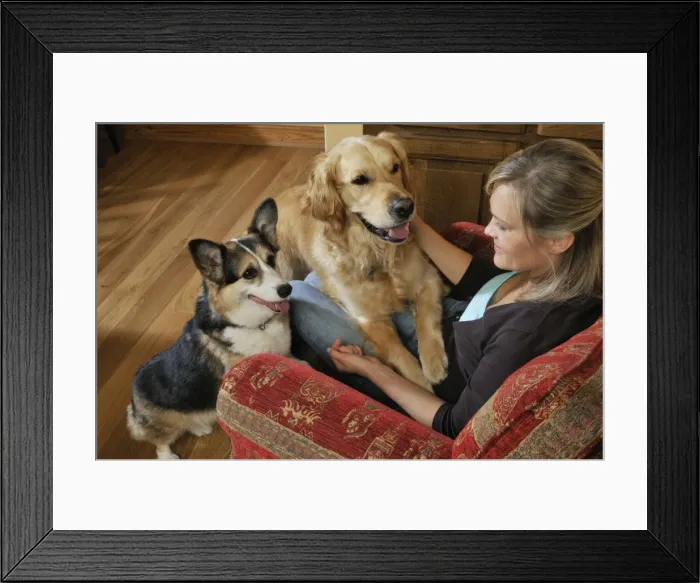 Framed Print : Picture No. 10746767 Framed Print : Picture No. 10746767
