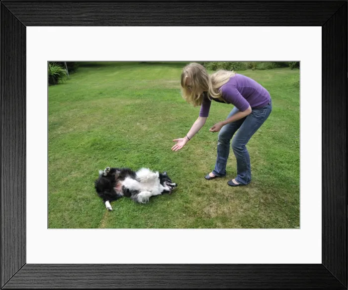 Framed Print : Picture No. 10746800 Framed Print : Picture No. 10746800