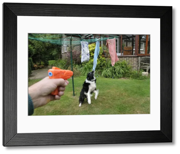 Framed Print : Picture No. 10746802