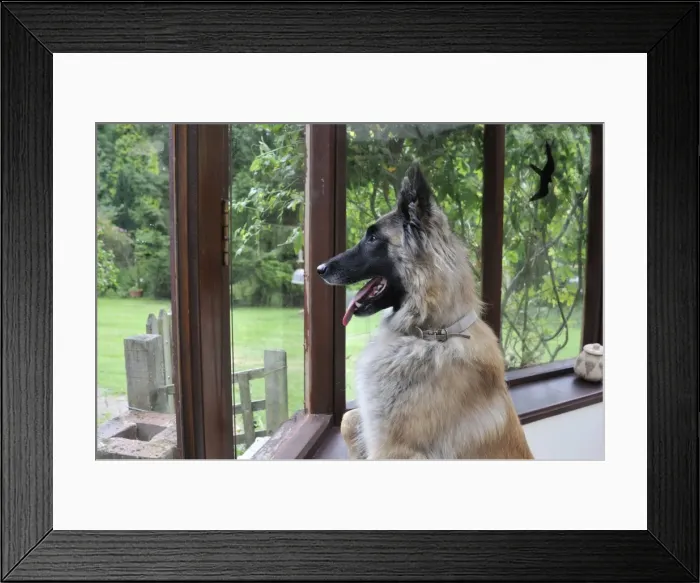 Framed Print : Picture No. 10746807 Framed Print : Picture No. 10746807