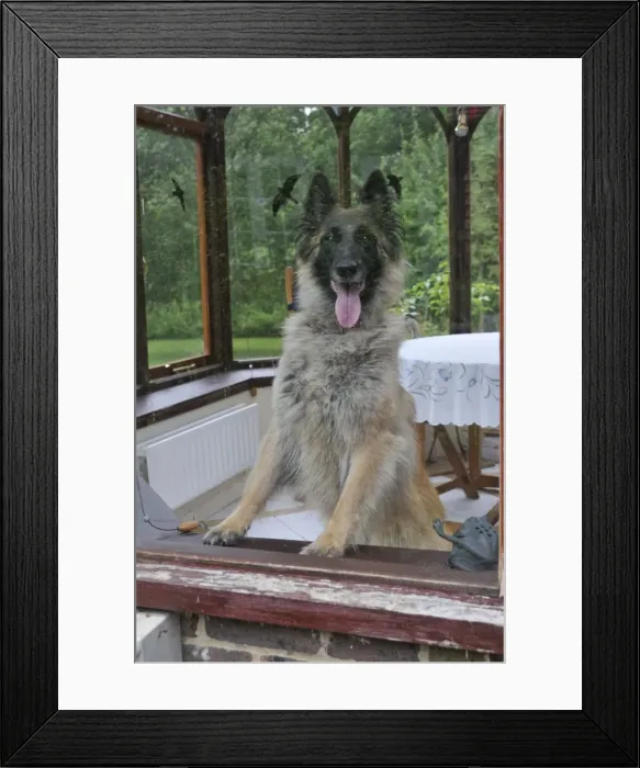 Framed Print : Picture No. 10746808 Framed Print : Picture No. 10746808