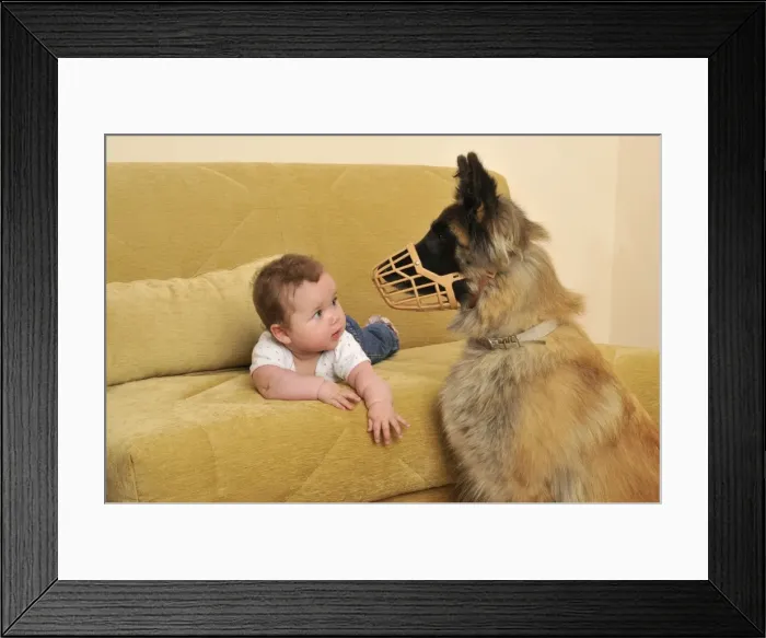 Framed Print : Picture No. 10746809 Framed Print : Picture No. 10746809
