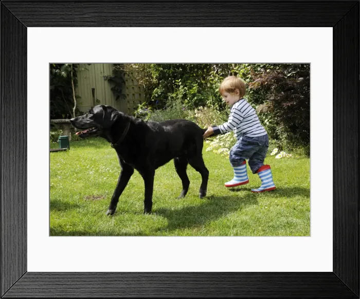 Framed Print : Picture No. 10746763 Framed Print : Picture No. 10746763