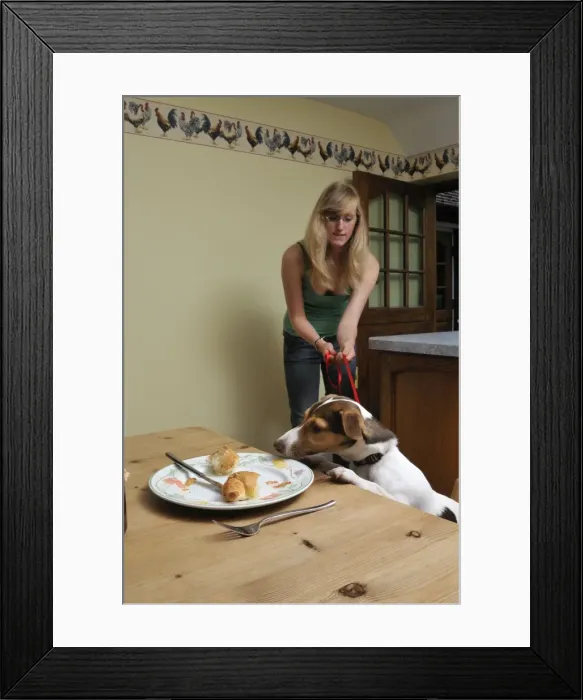 Framed Print : Picture No. 10746811