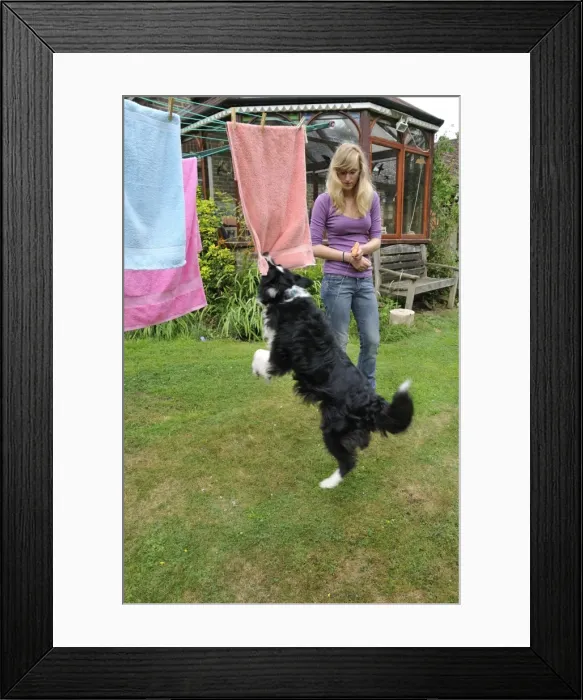 Framed Print : Picture No. 10746803 Framed Print : Picture No. 10746803