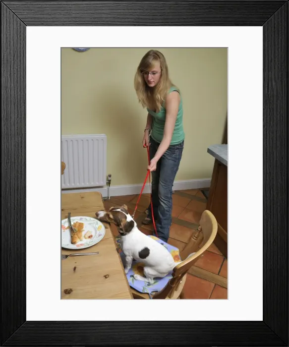 Framed Print : Picture No. 10746812
