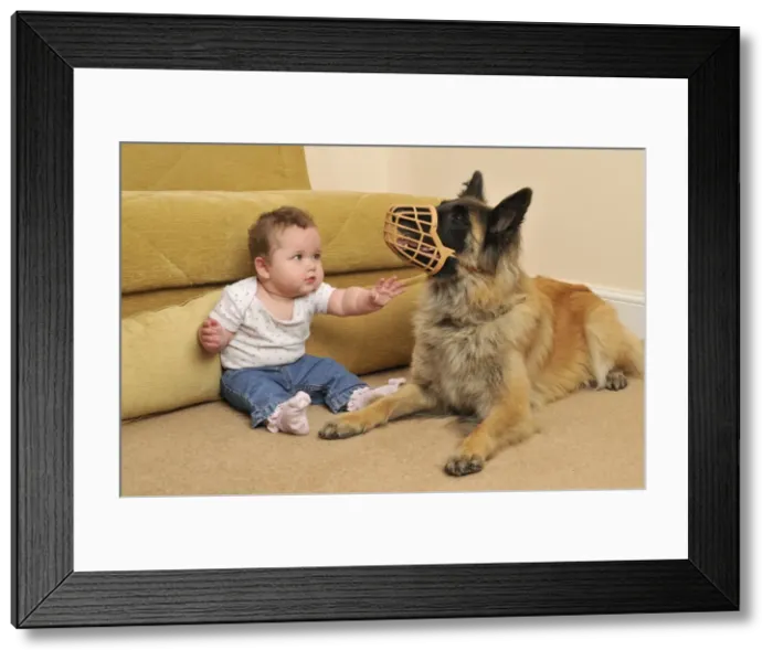 Framed Print : Picture No. 10746810 Framed Print : Picture No. 10746810