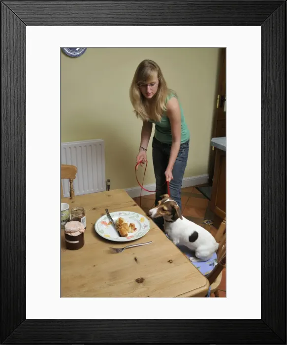 Framed Print : Picture No. 10746813